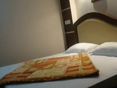 Alps Hotel